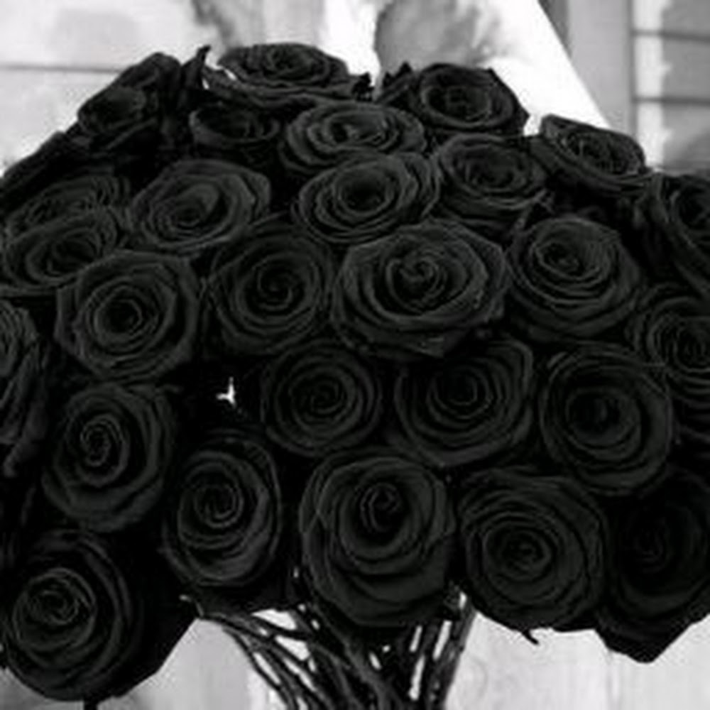 Meet your Posher, Danny